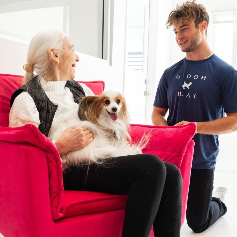 Groom Best Dog Grooming in West Hollywood